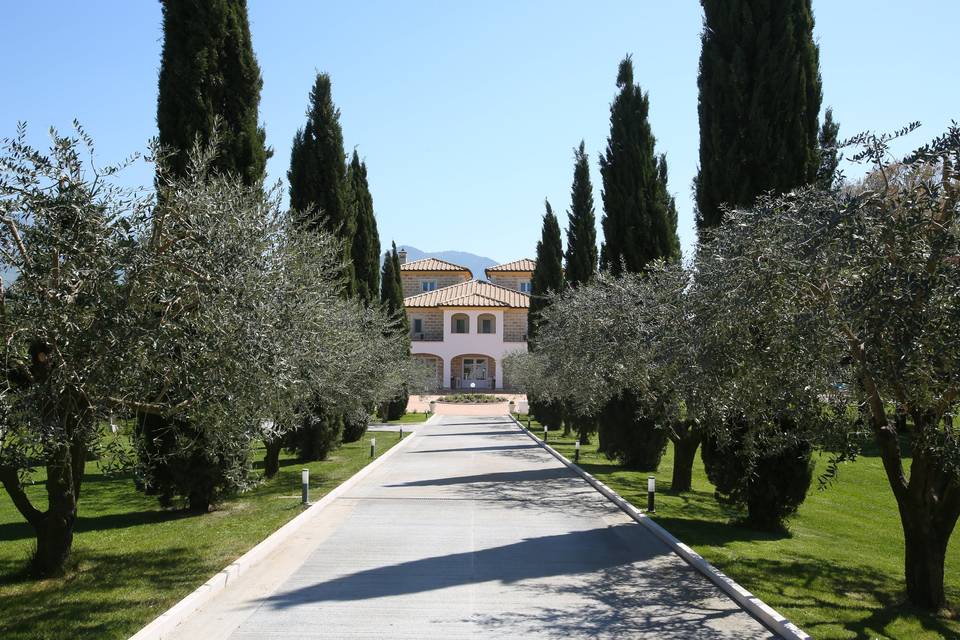 Anima Antiqua