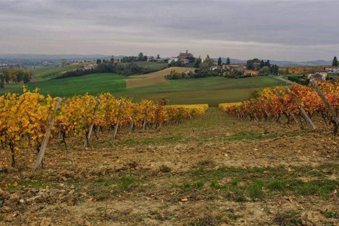 I Vigneti del Castello