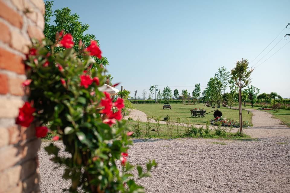 Vista giardino