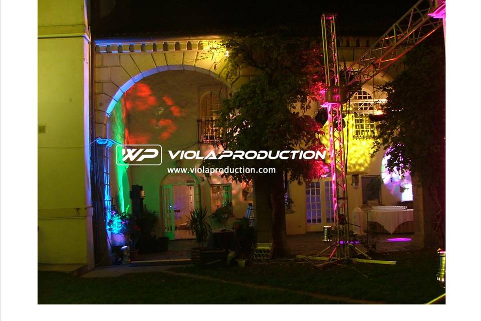 Viola Production