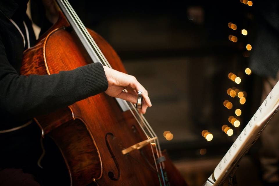 Silvan, organista e pianista