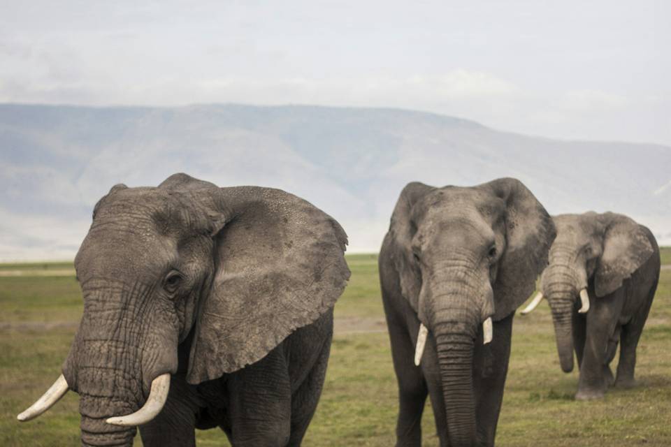 Tanzania