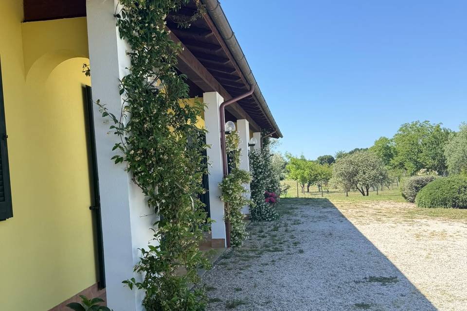 Camere
