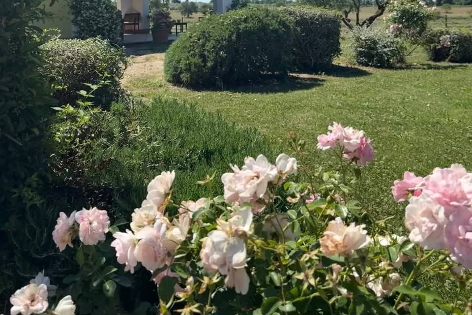 La vita e' bella