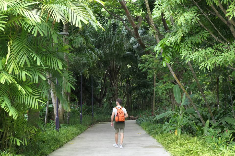 Singapore