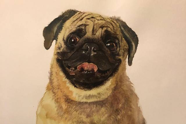 Live sketch