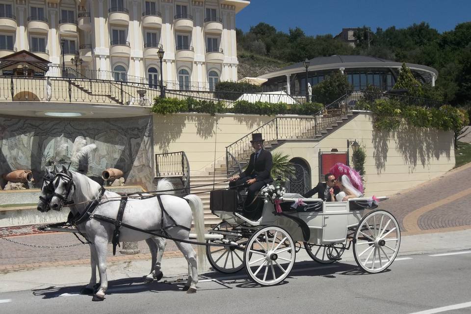 Carrozza bianca