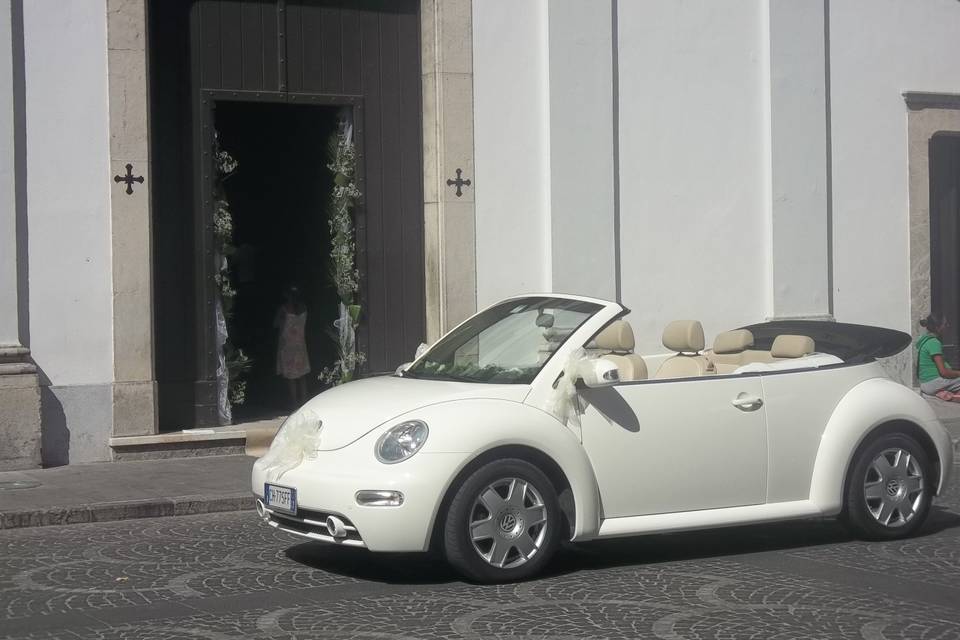 New Beetle