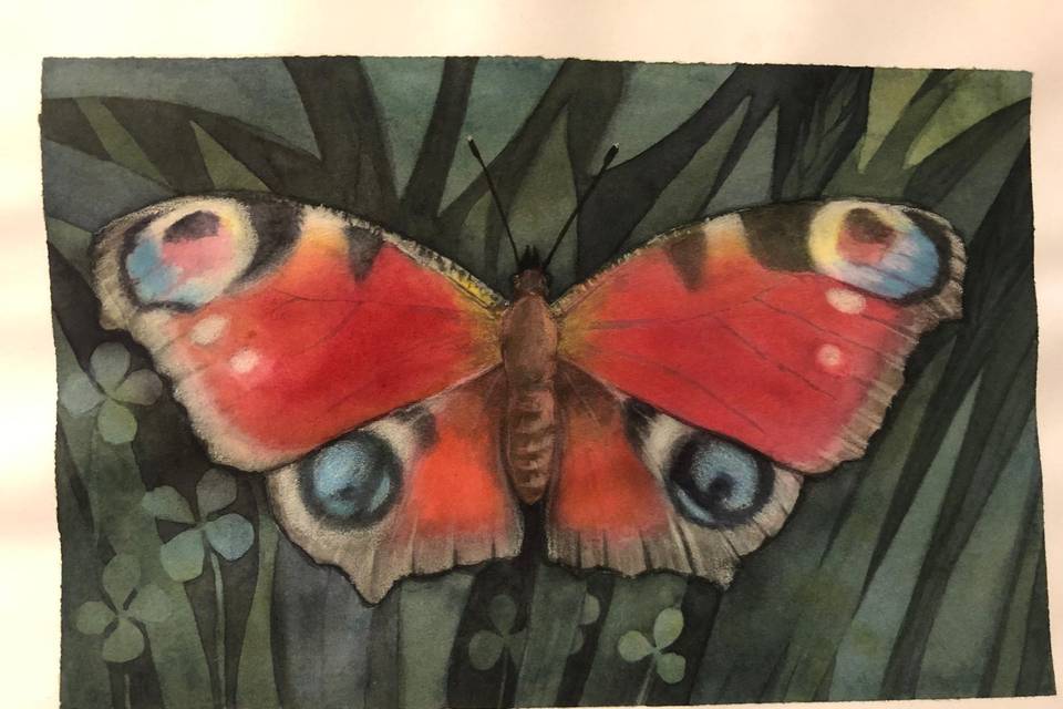 Illustrazione ad acquerello