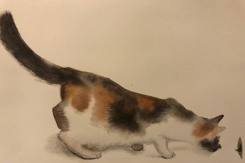 Dettagli