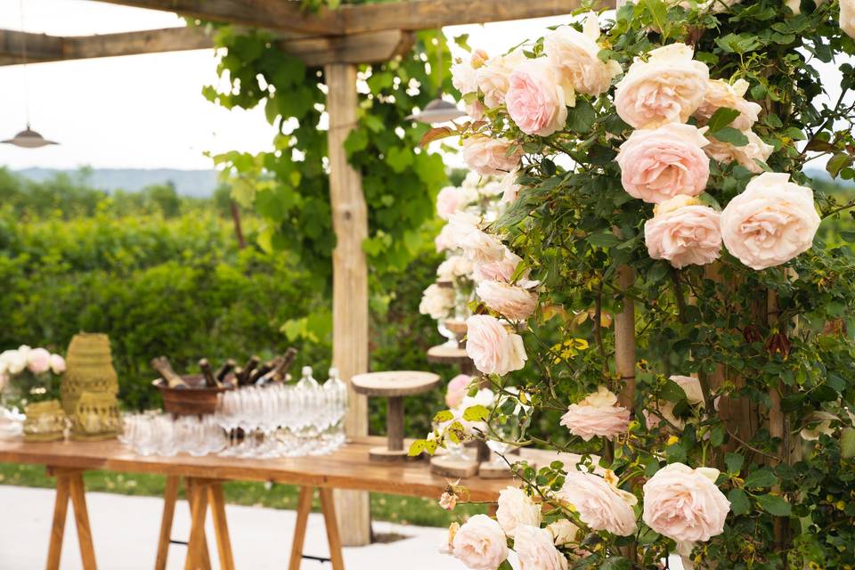 Pergola di rosa canina