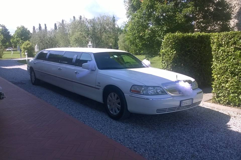 Lincoln Limousine