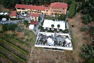 Vigna dei Pini 1