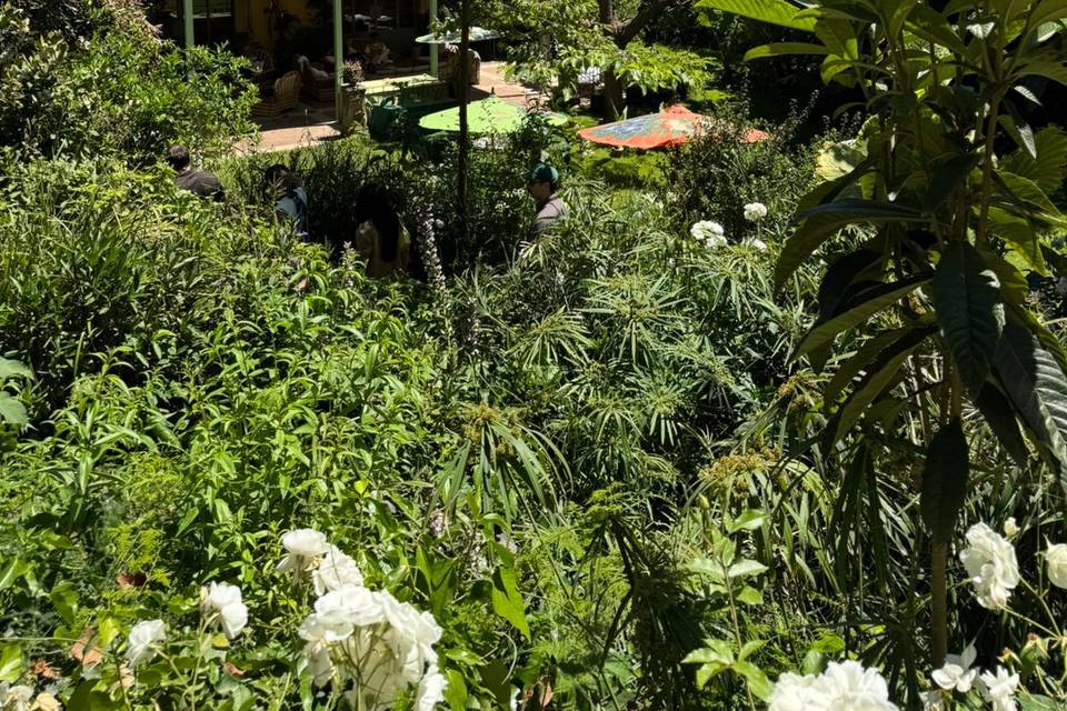 Le Stanze in Fiore - eventi