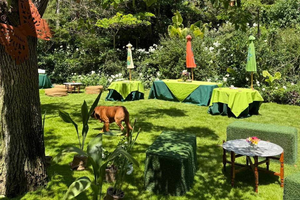 Le Stanze in Fiore - eventi
