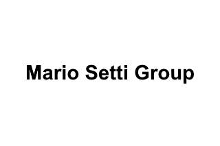 Mario Setti Group logo