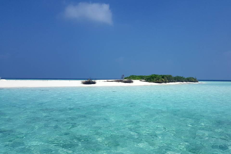 Maldive