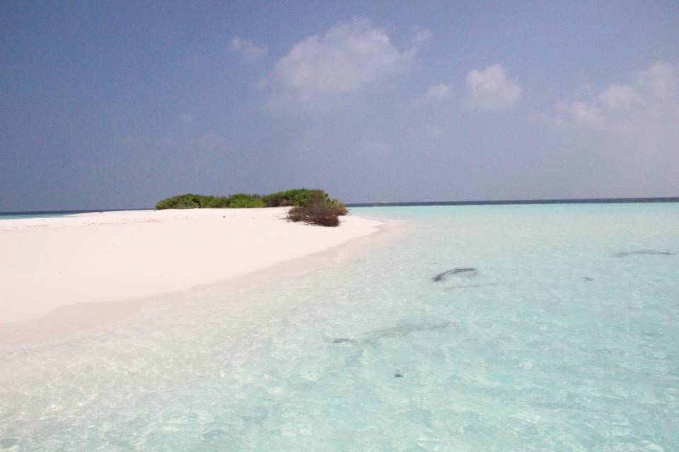 Maldive