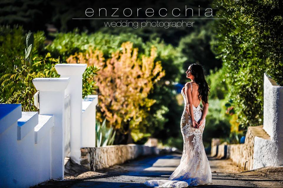 Enzo Recchia Wedding Ph