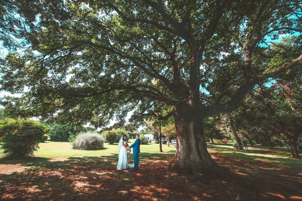 Enzo Recchia Wedding Ph