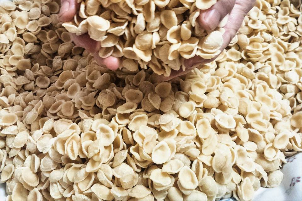 Orecchiette experience