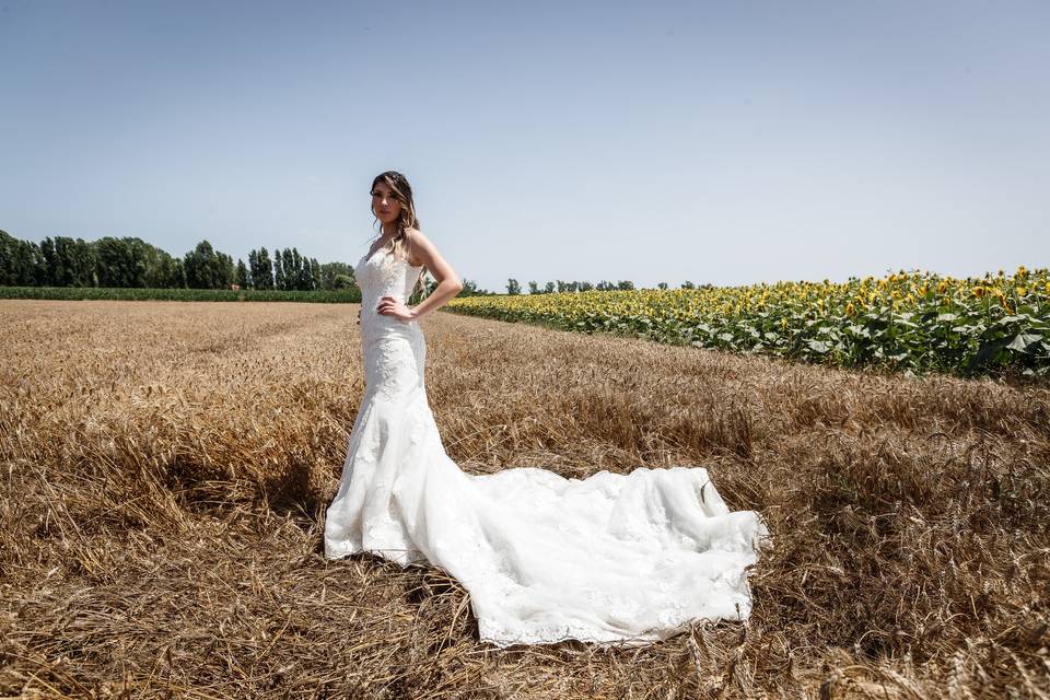 La sposa nel campo di grano