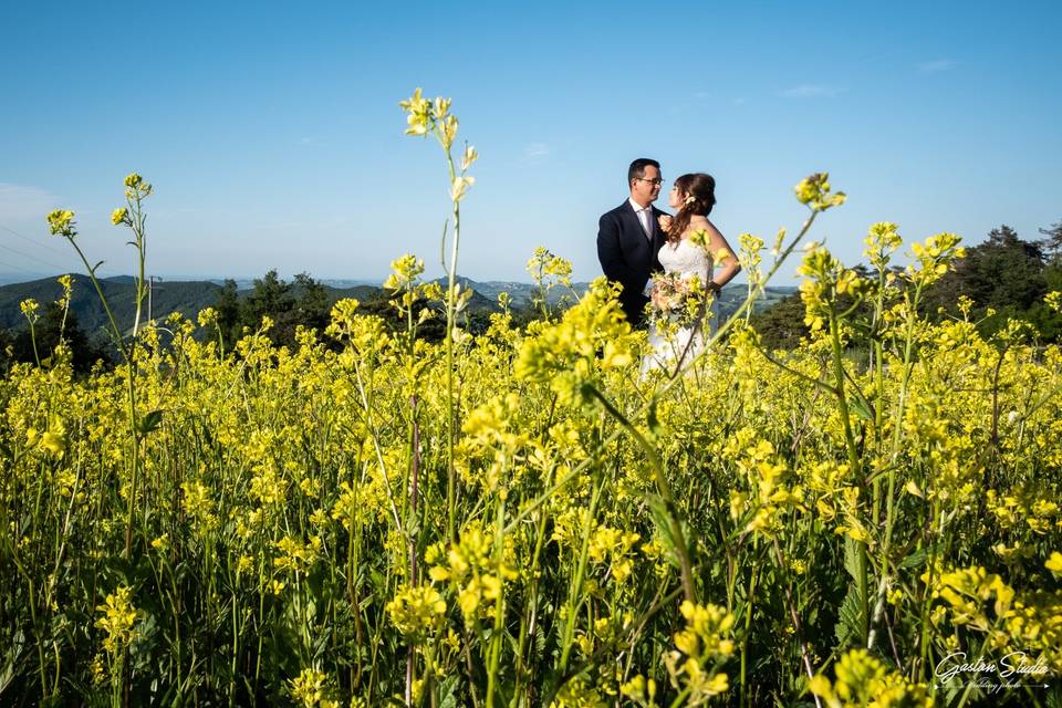 Gaston Studio - Wedding Photo