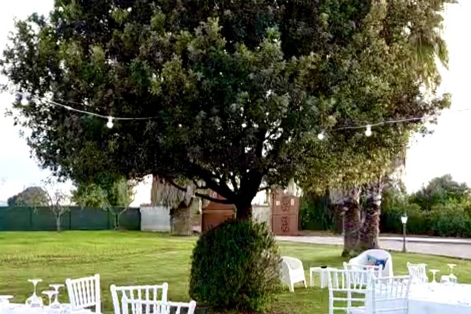 Allestimento giardino