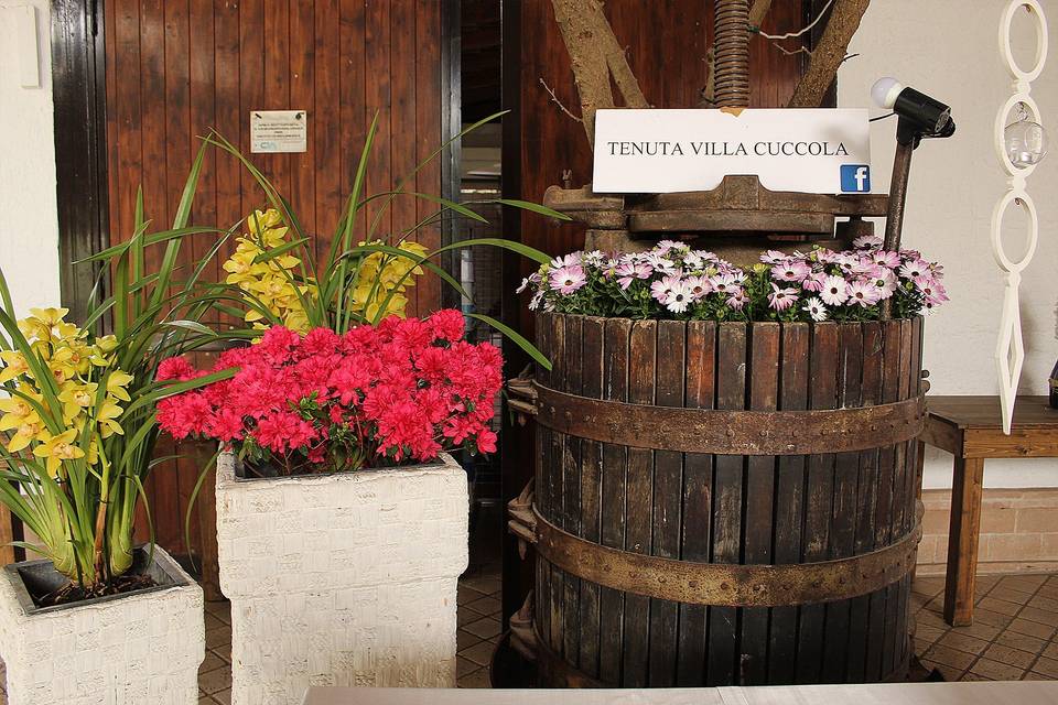 Tenuta Villa Cuccola