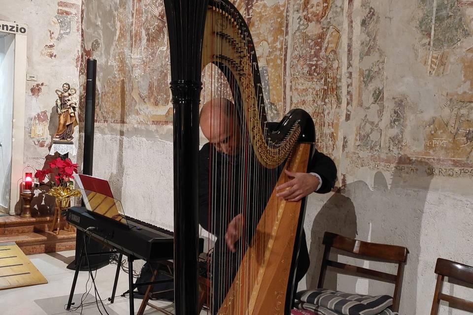Musica live