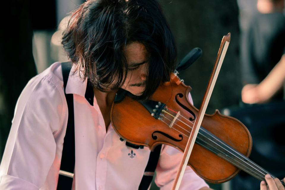 Musica live
