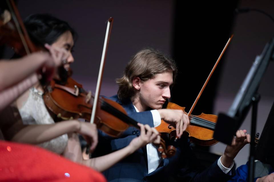 Musica live