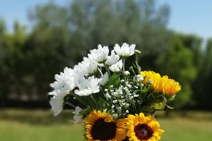 Piante e Fiori Toscano