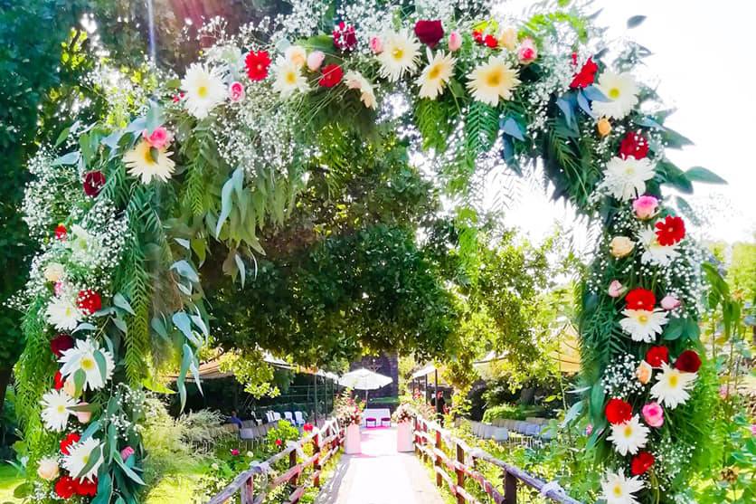 Piante e Fiori Toscano