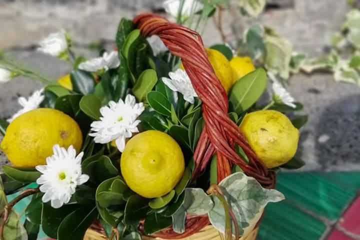 Piante e Fiori Toscano