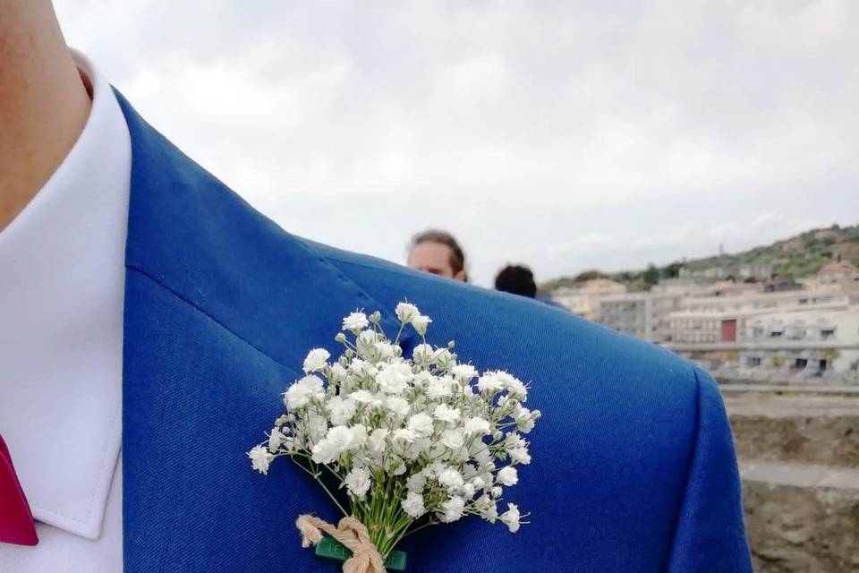 Piante e Fiori Toscano