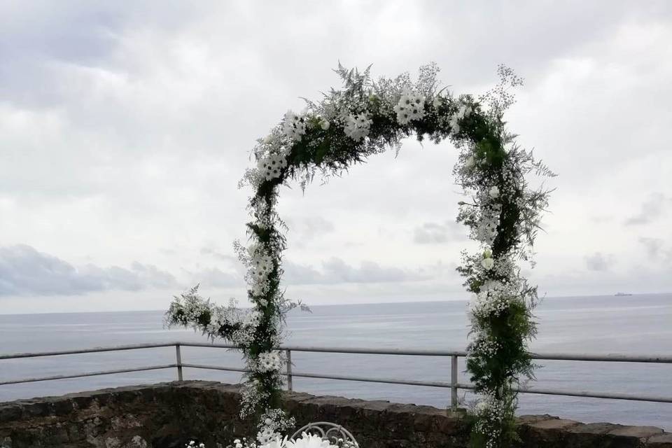 Piante e Fiori Toscano