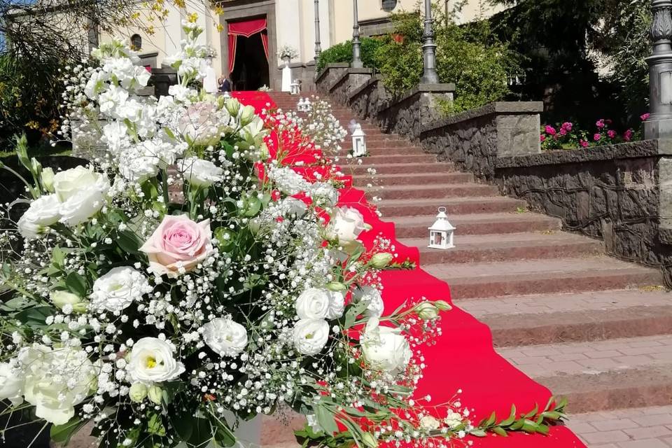 Piante e Fiori Toscano