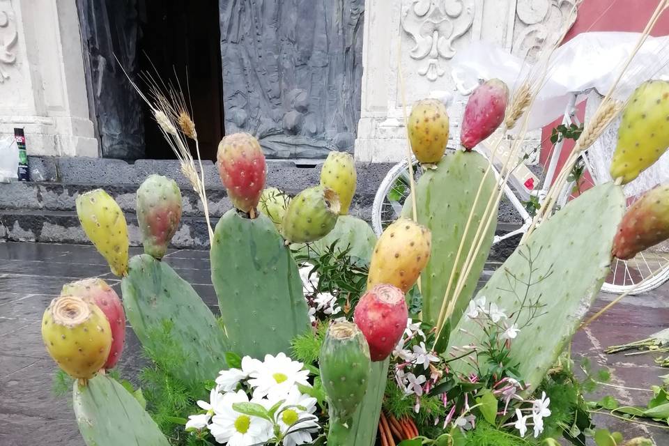 Piante e Fiori Toscano