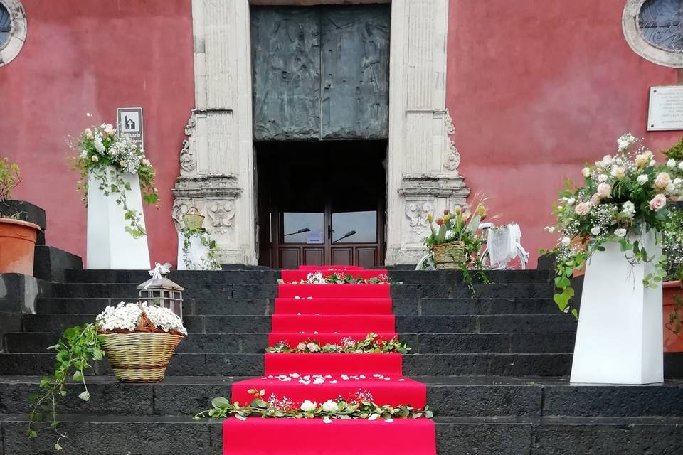 Piante e Fiori Toscano