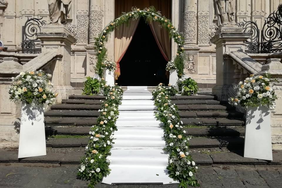 Piante e Fiori Toscano