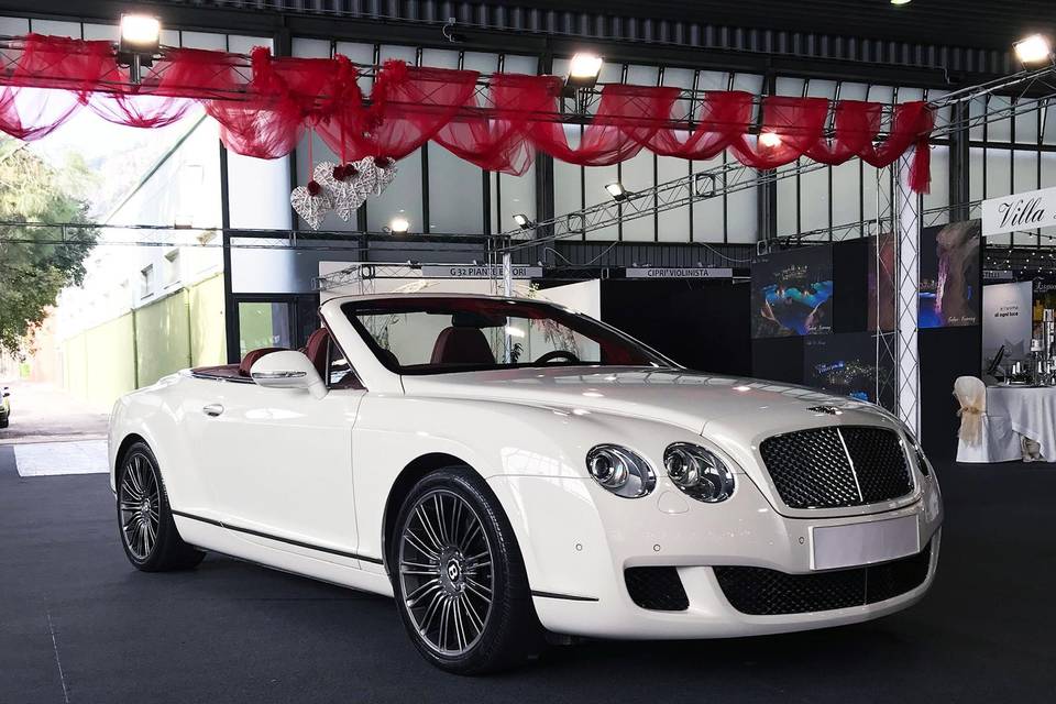 Bentley continental bianca