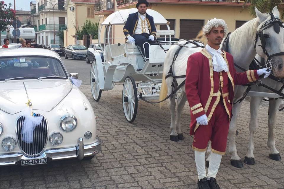 Jaguar + carrozza cavalli