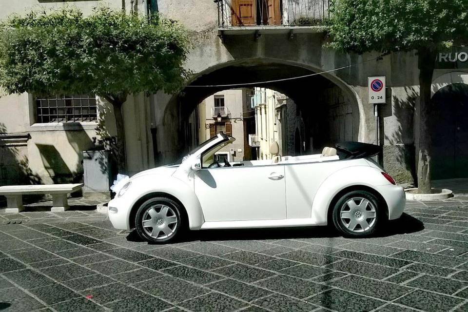 New beetle