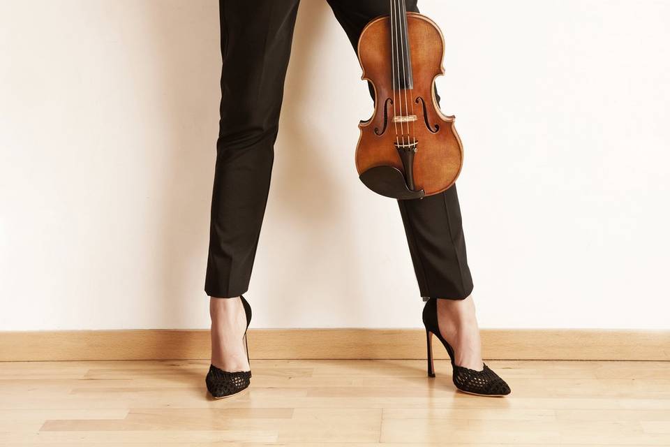 Violino nozze