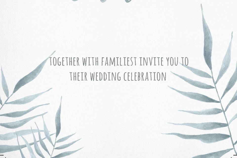 Celebration C&D
