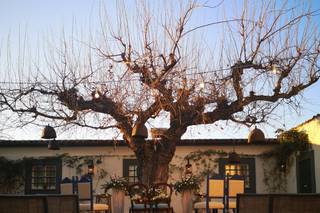 La Casa del Gelso 1