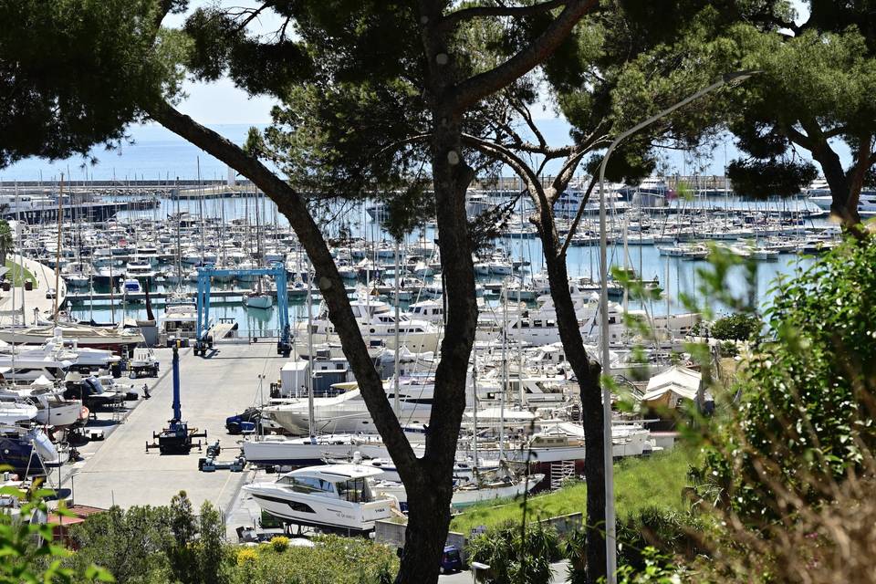 Il Parco dettaglio