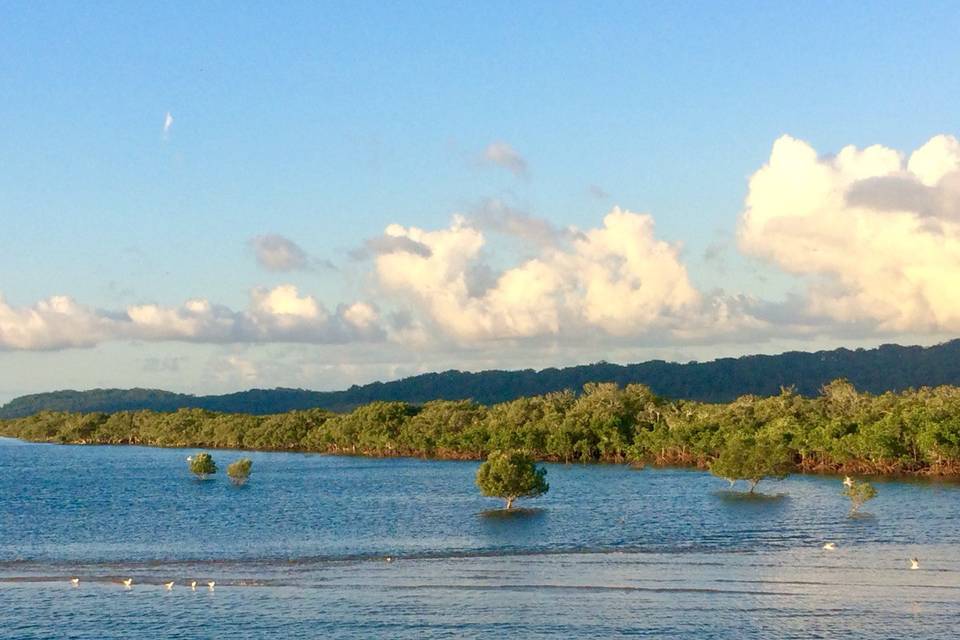 Tour Fraser Island, Australia