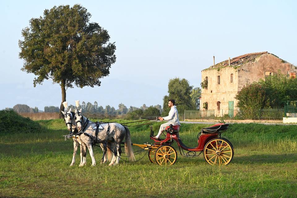 Cioffoletti Eventi